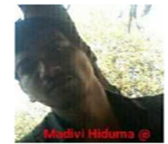 Picture1_9